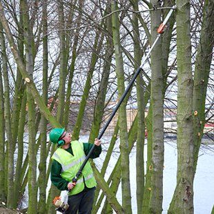 using a petrol powered branck cutter