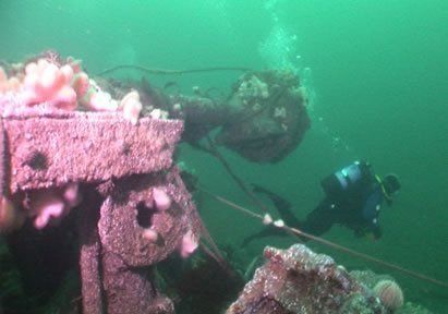 The paddle steamer Lapwing
