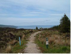 One of the many scenic walks in the area