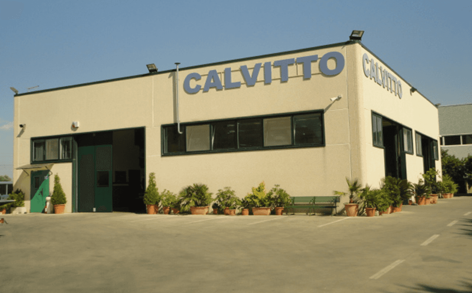 calvitto