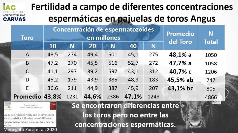 Fertilidad a campo de diferentes concentraciones espermáticas en pajuelas de toros Angus