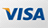 A close up of a visa logo on a white background.