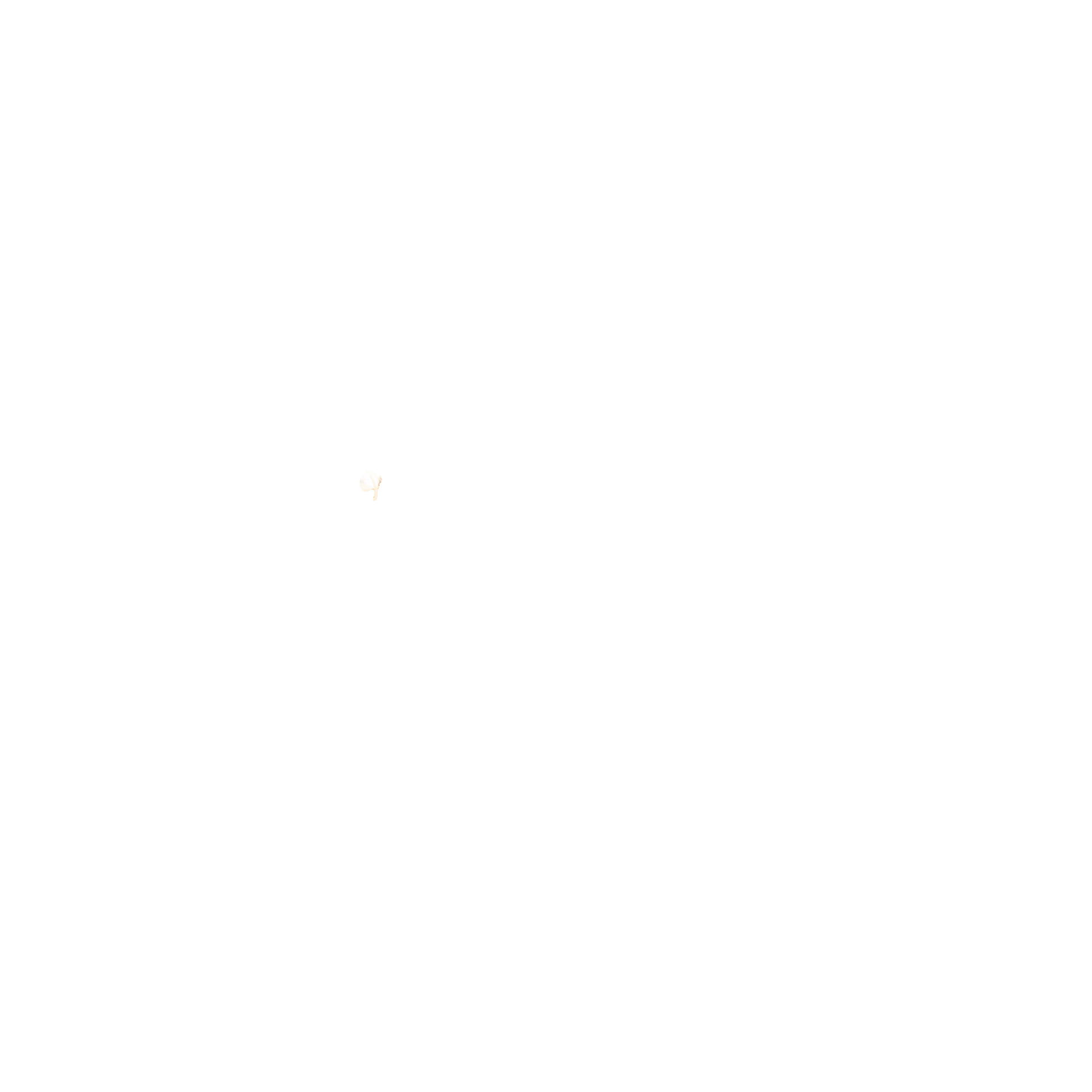 Logo | Chris Autobody | Salisbury, MA Logo | Chris Autobody | Salisbury, MA