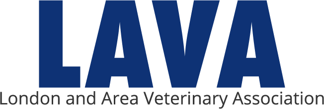 Lava Logo