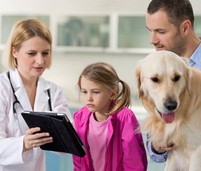 pet-owner
