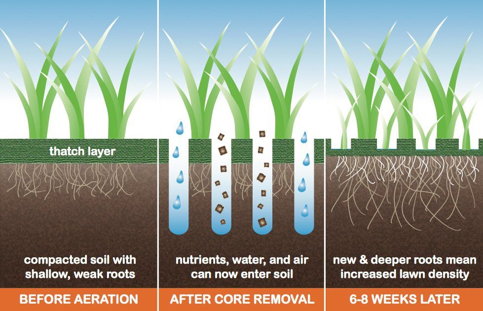 West Hartford Lawn Core Aeration