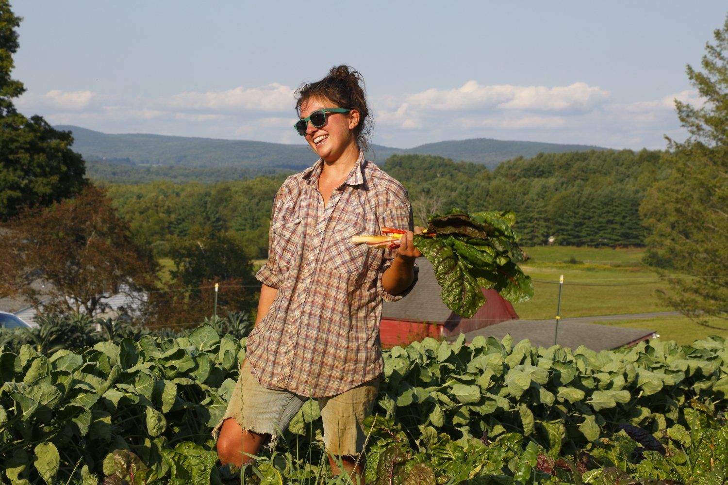 Molly Comstock of Colfax Farm
