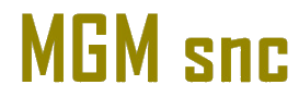 MGM logo