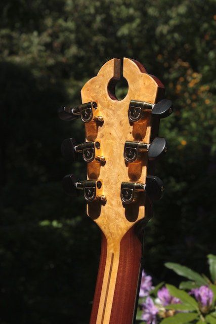 Rear headstock view Archback Fingerstyle Artist model in Kotibe and alpine spruce