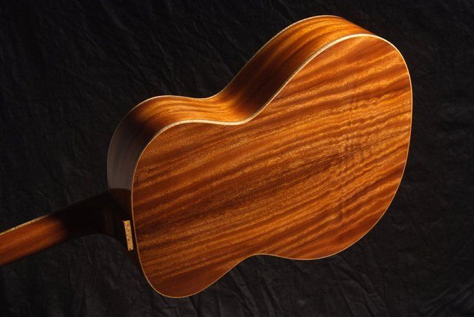 Back Fingerstyle Artist model in MonkeyPod and Engelmann