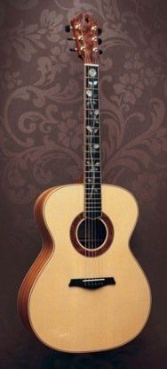 Front close-up Fingerstyle Artist model in MonkeyPod and Engelmann