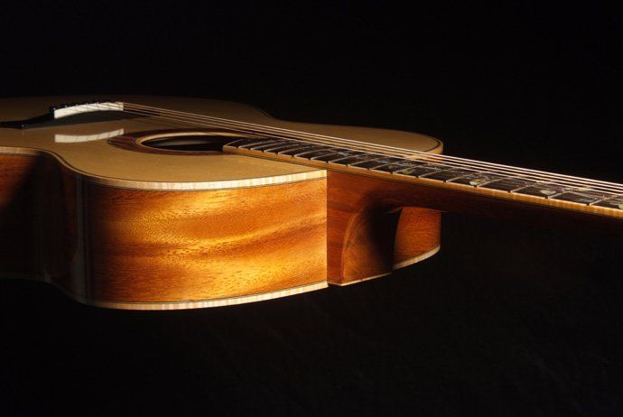 Neck body joint Fingerstyle Artist model in MonkeyPod and Engelmann
