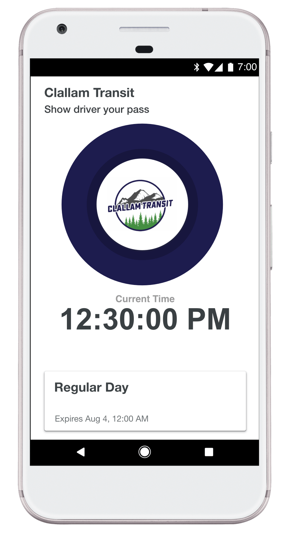 Example of your ticket on the Token Transit application.