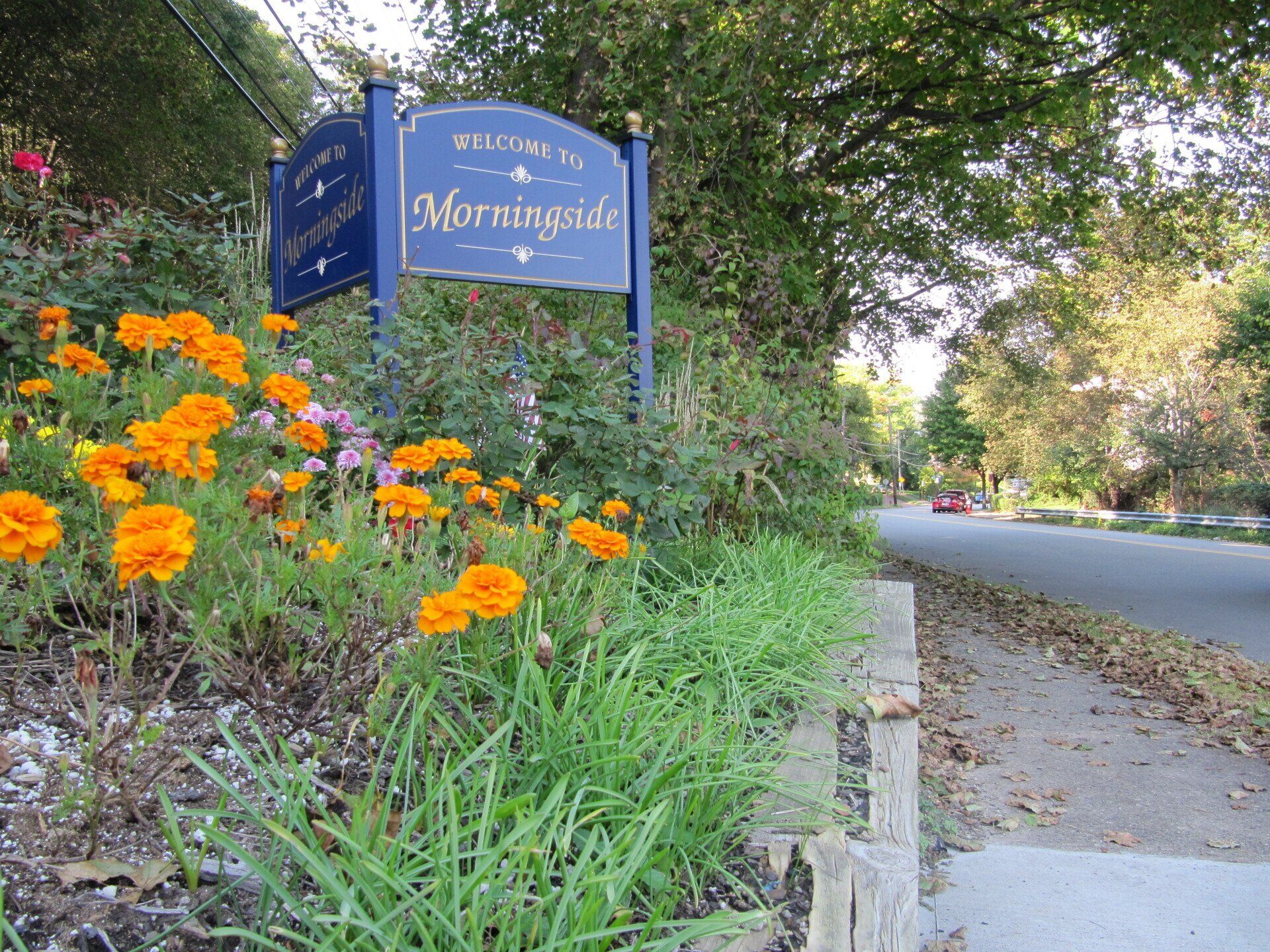 Morningside Photo Gallery