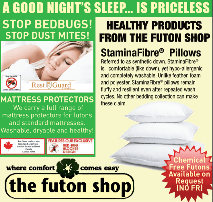 how to prevent bed bugs