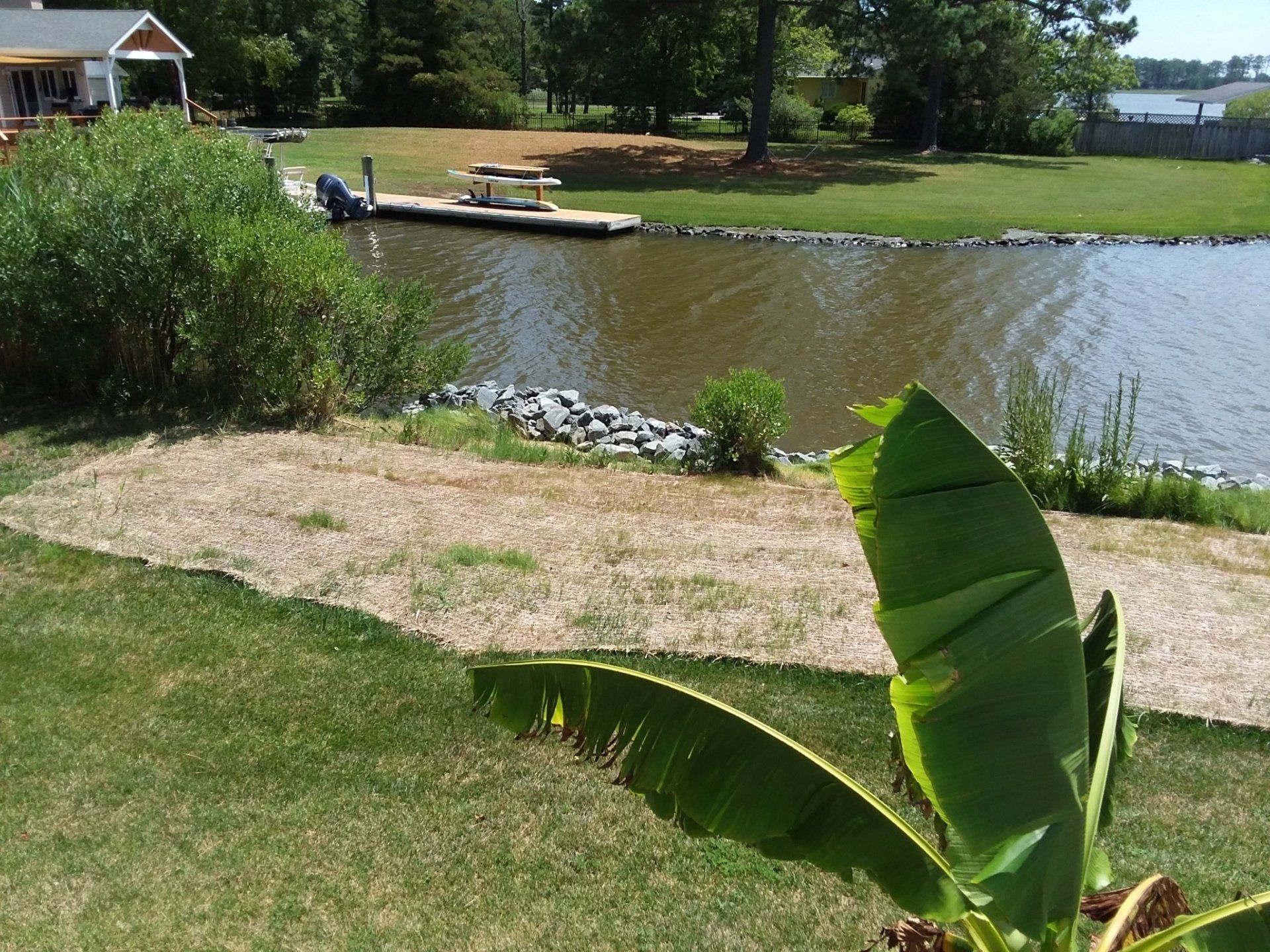 A view of a grassy waterfront with a wooden pier, riprap shoreline, and a banana plant leaf in the foreground.
