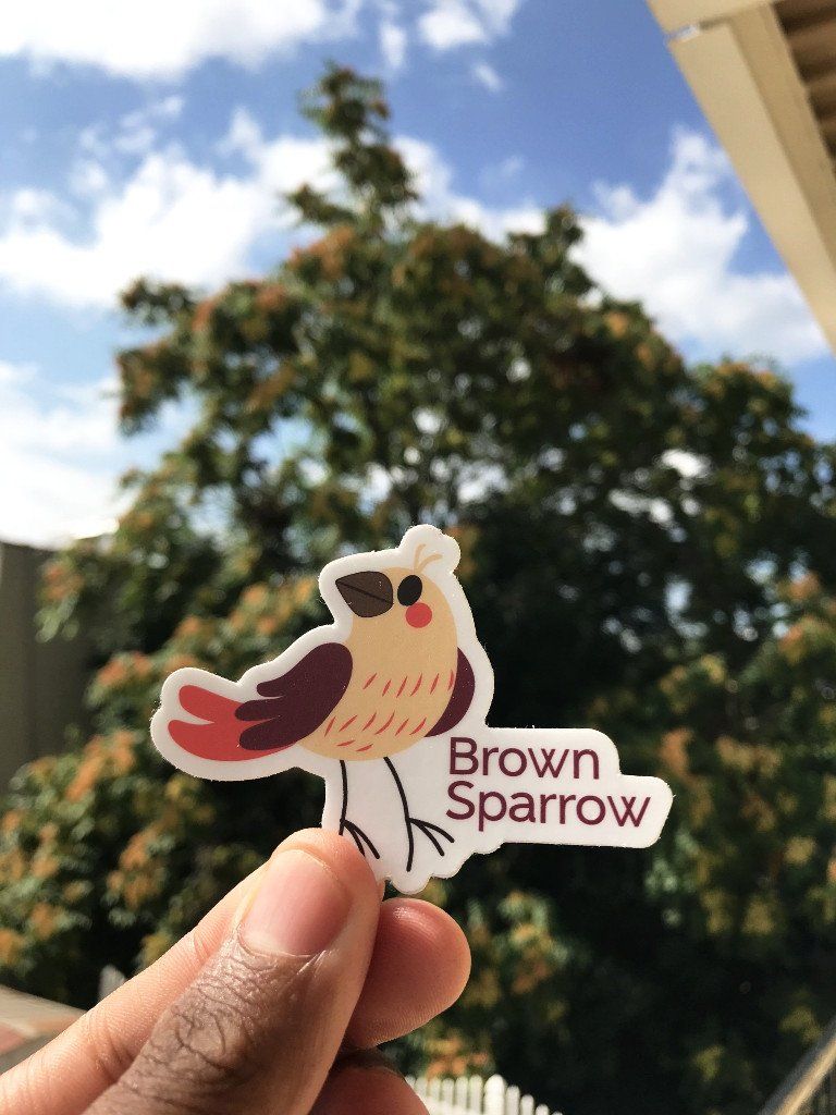Brown Sparrow LLC
