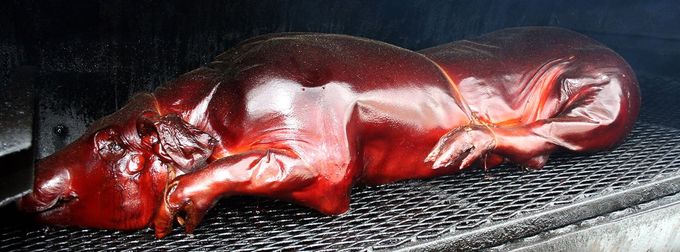 hog roast