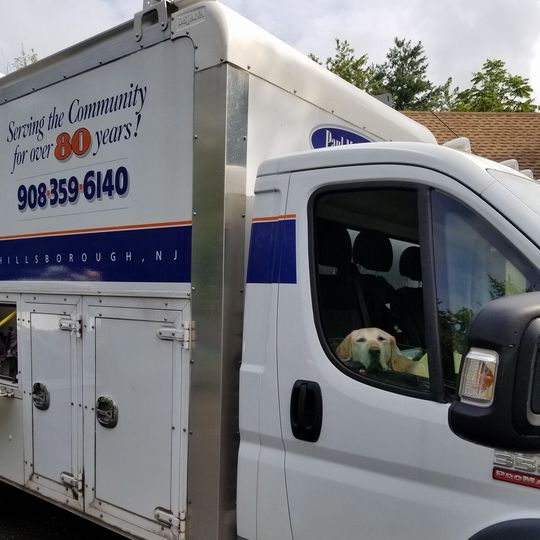 Licensed Electrician — Dog Inside the Company Vehicle in Hillsborough, NJ