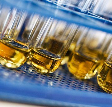 Alcohol Test — Urine in Test Tube in Eugene, OR
