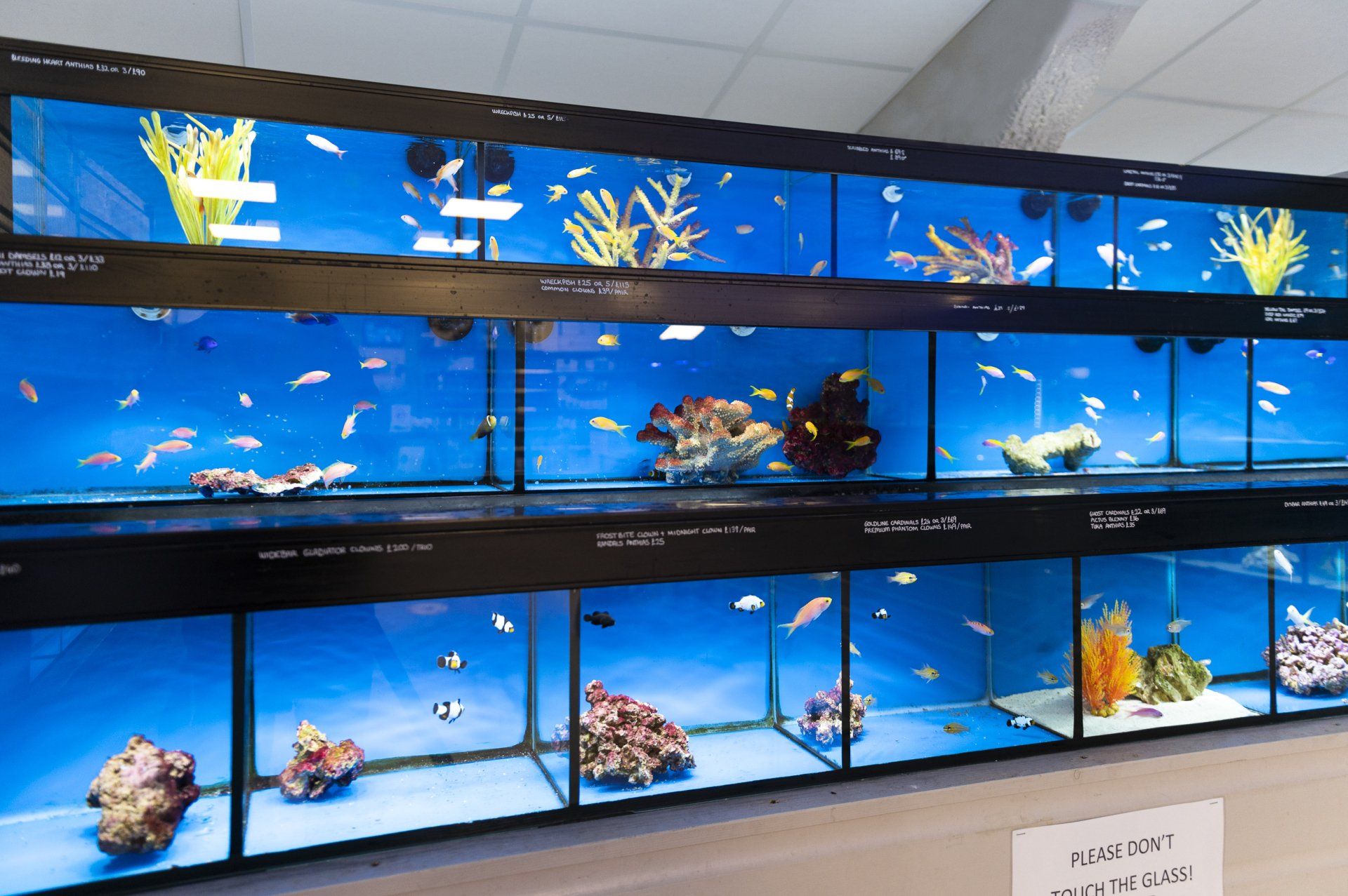Aquarium