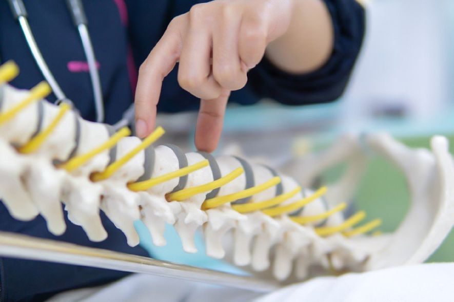 Trazioni vertebrali