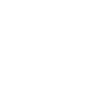 icona automobile