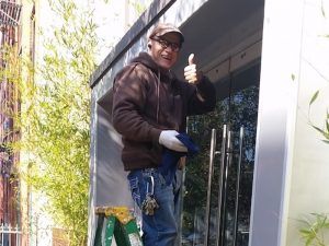 Window Cleaning