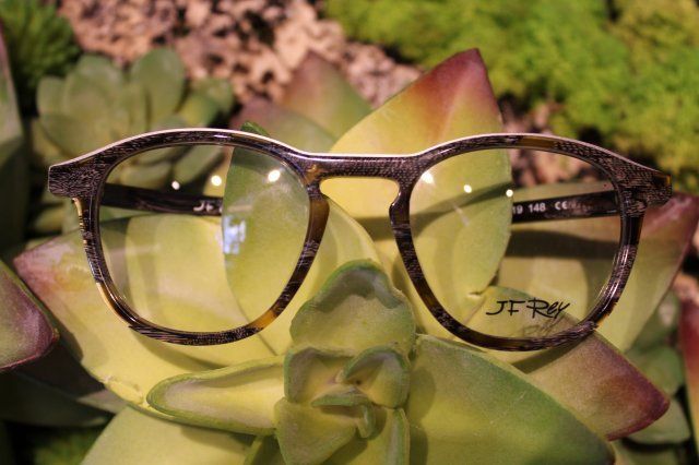 High Tech Glasses — Beautiful Eyeglasses on a Plant in Belleair Bluffs, FL