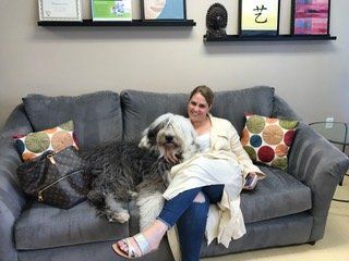 Fabulous Smiles - Bailey Therapy Dog