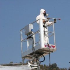 operatori specializzati in disinfestazioni