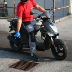 disinfestazione insetti