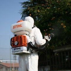 servizi di disinfestazione e derattizzazione