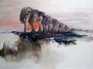 landschap Zeeland