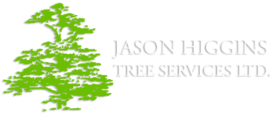 Jason Higgins Tree Services Limited Jason Higgins Tree Services Ltd