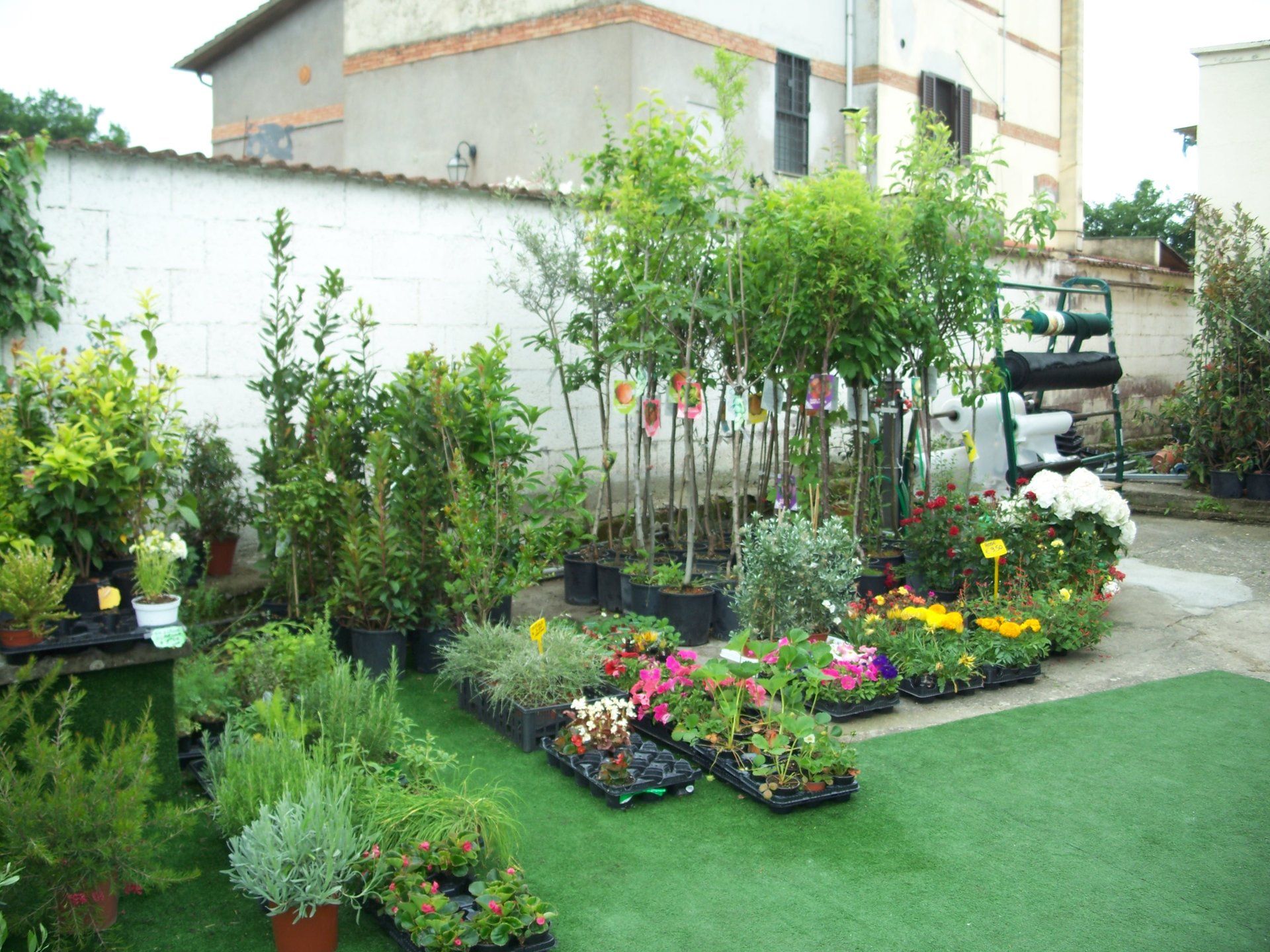 Pianeta verde viterbo, agricoltura viterbo, piante da giardino viterbo, mangimi per animali viterbo