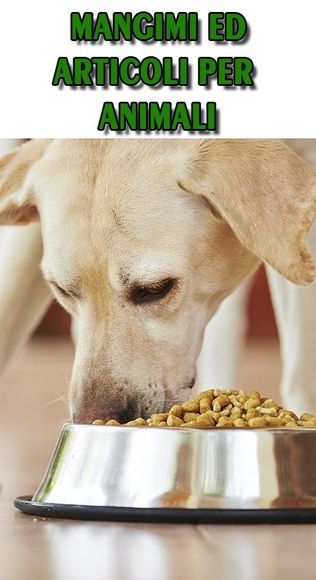 Tutto per gli animali