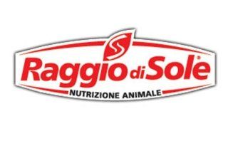 raggio di sole, Raggio di sole Store, Viterbo