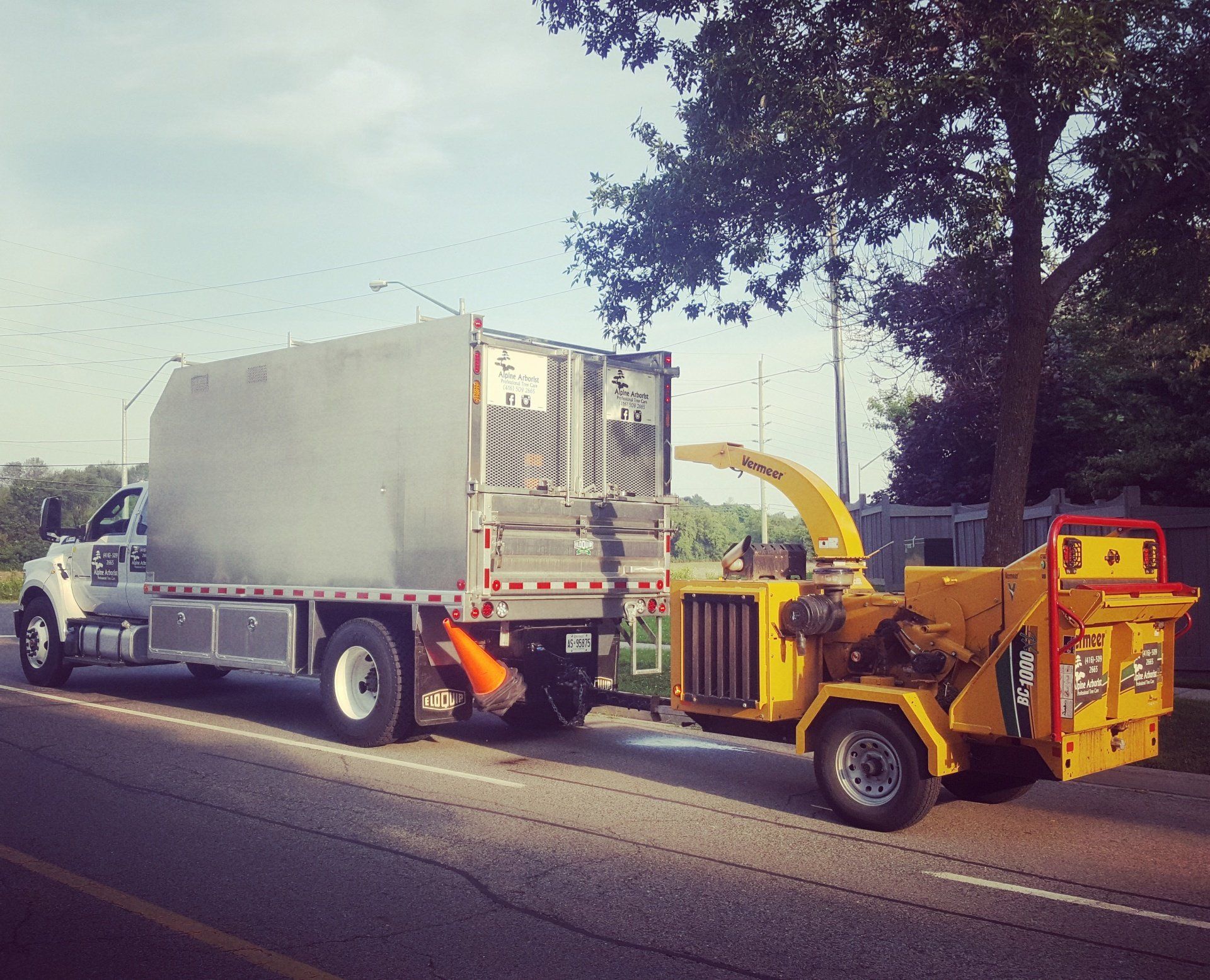 Tree Removal, Newmarket, Ontario