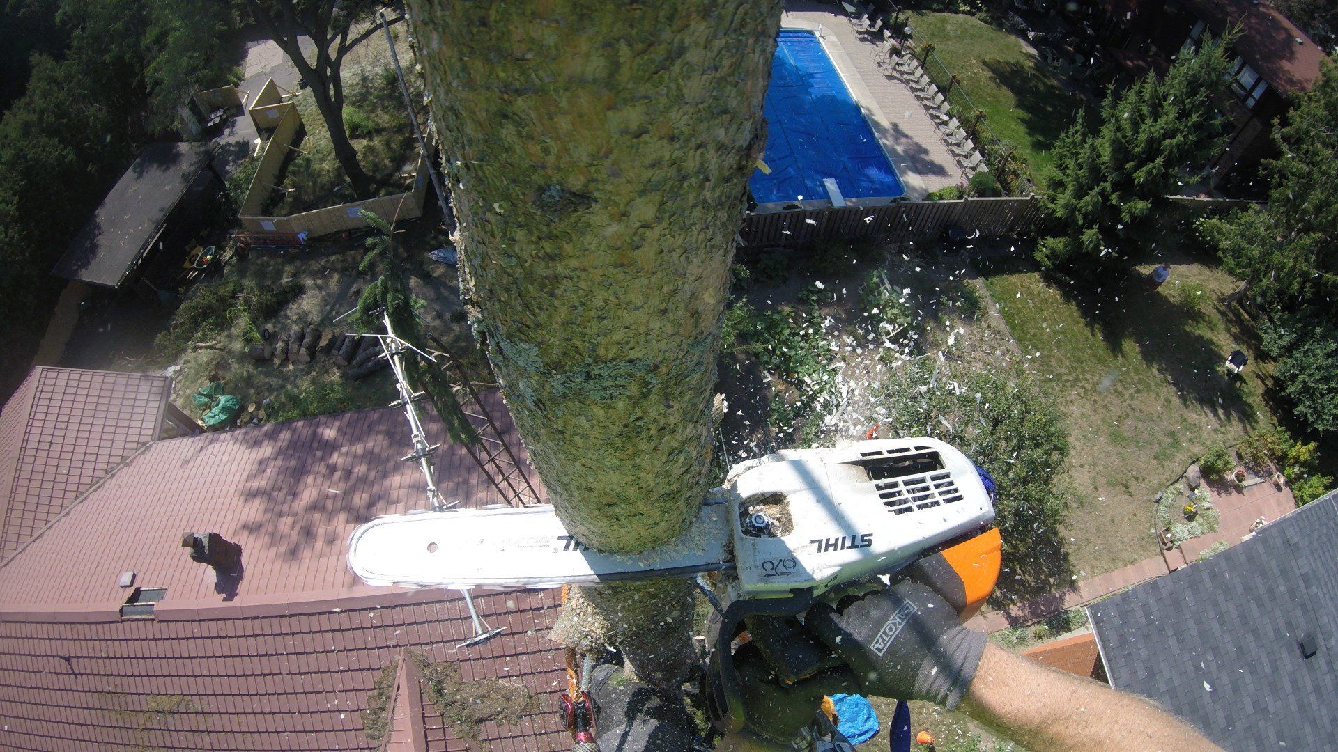 Tree Removal, Newmarket, Ontario