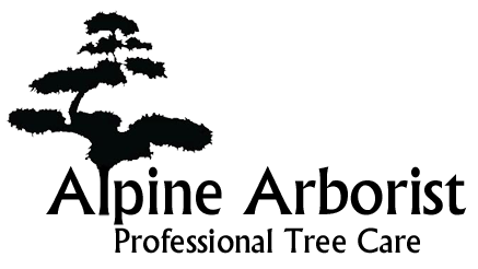 Tree Removal, Newmarket, Ontario Tree Removal, Newmarket, Ontario