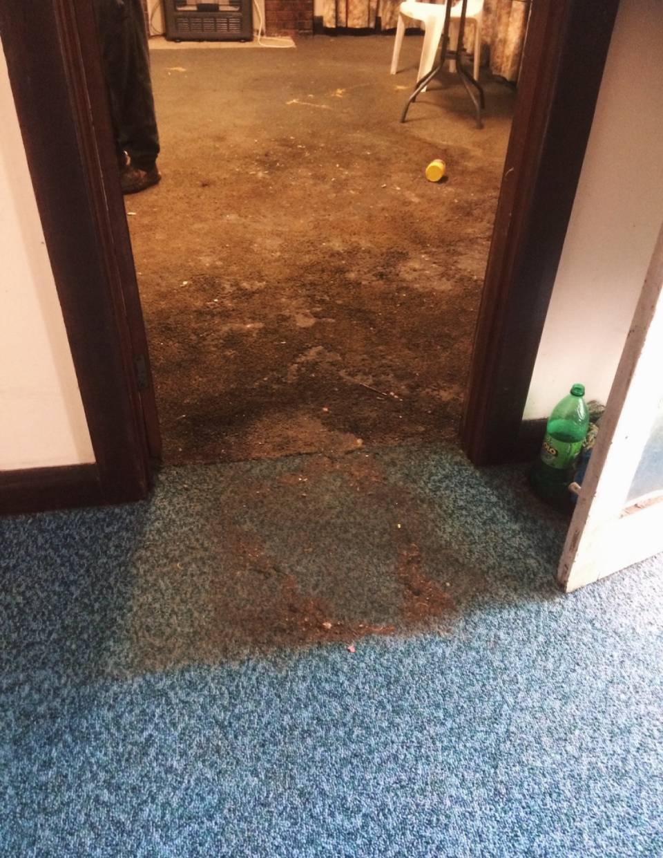 clean carpet