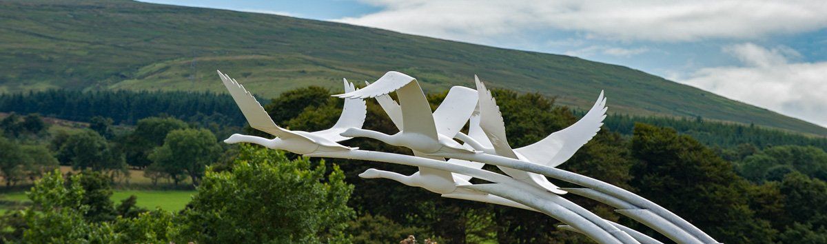 Photo Swans of Lir by Art Ward