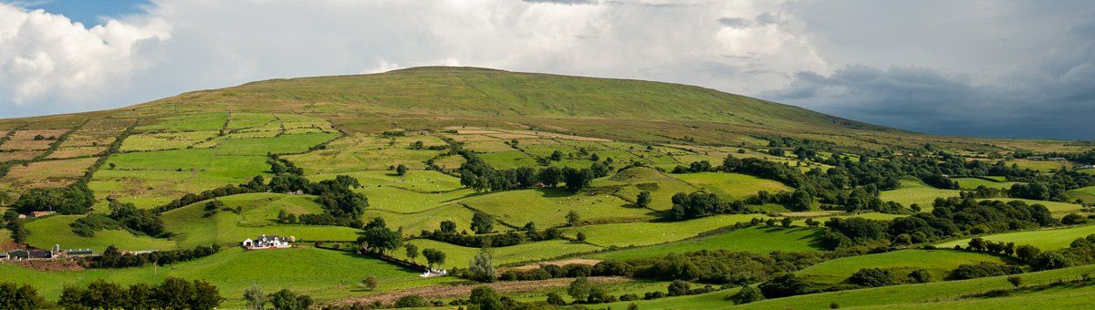 Photo - Knocklayd by Art Ward