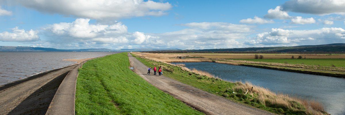 Photo Ballymacran Bank by Art Ward ©