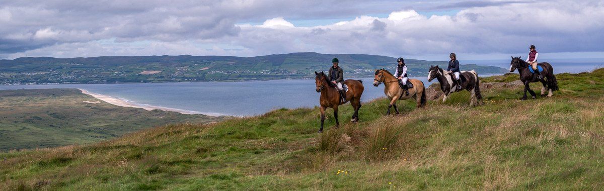 Photo from Binevenagh by Art Ward ©