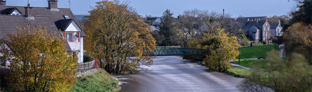 Phot - River Bush by Art Ward ©