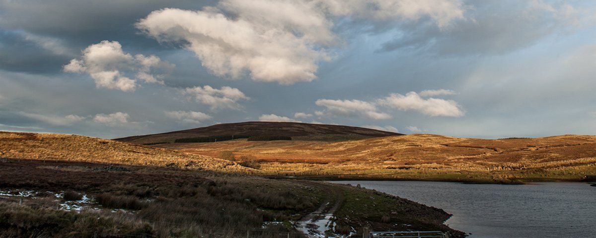 Photo - Loughareema by Art Ward ©