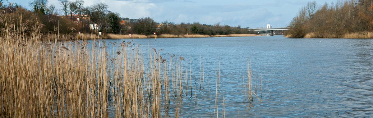 Photo of the River Bann by Art Ward