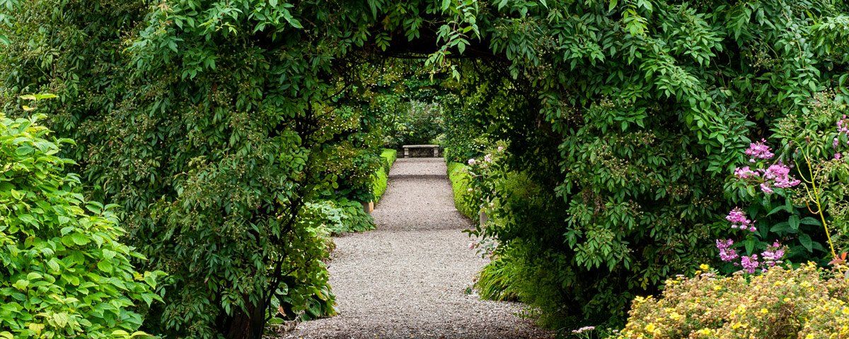Photo of garden by Art Ward ©